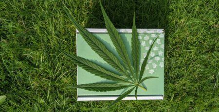 A cannabis leaf lays atop a weed wedding favor on a grassy lawn.