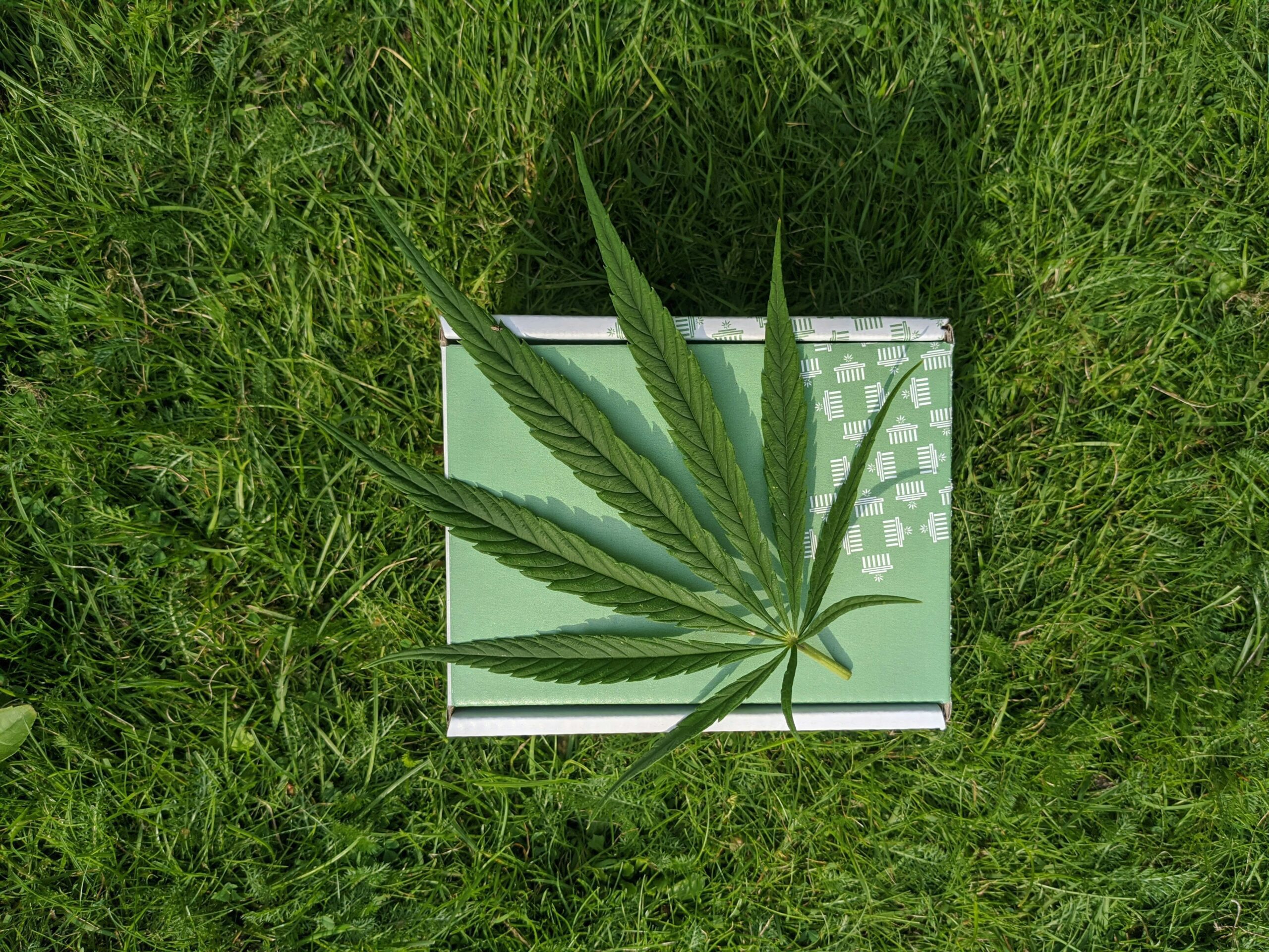 A cannabis leaf lays atop a weed wedding favor on a grassy lawn.