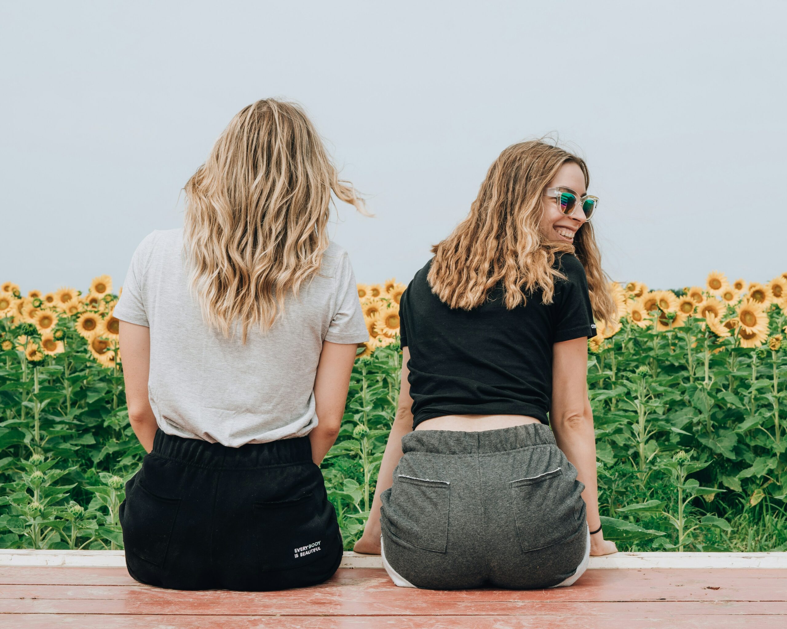 Two people are photographed from behind sitting on a bench facing a field of sunflowers.